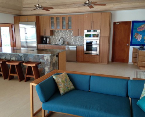 Contemporary kitchen and furniture